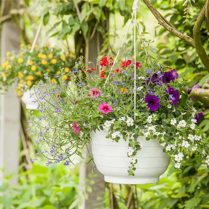Urlaub auf Balkonien – Grüne Oasen auf dem Balkon Urlaub auf Balkonien – Grüne Oasen auf dem Balkon