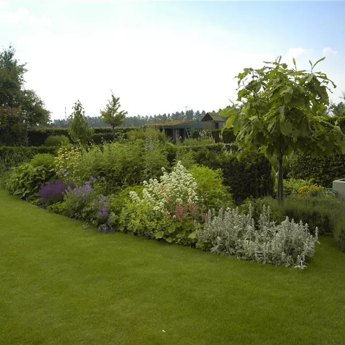 Wasser für den Rasen – Bewässerungssysteme und Tipps