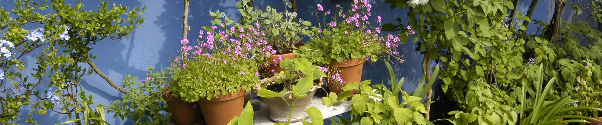 GS620398.jpg GS620398.jpg