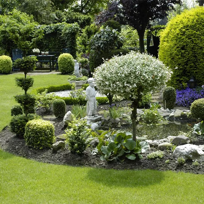 Bäume pflanzen – so wird der Garten groß Bäume pflanzen – so wird der Garten groß