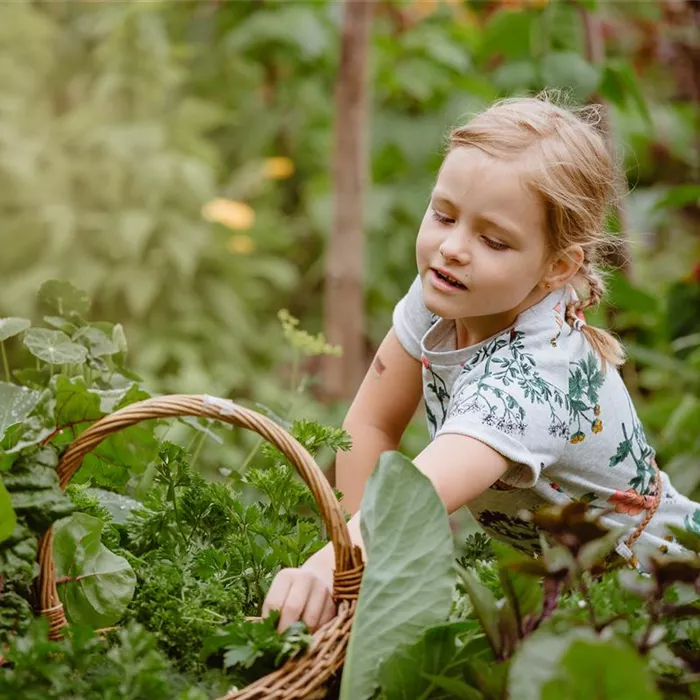 Jetzt kann geerntet werden! Kinder spielerisch einbeziehen Jetzt kann geerntet werden! Kinder spielerisch einbeziehen