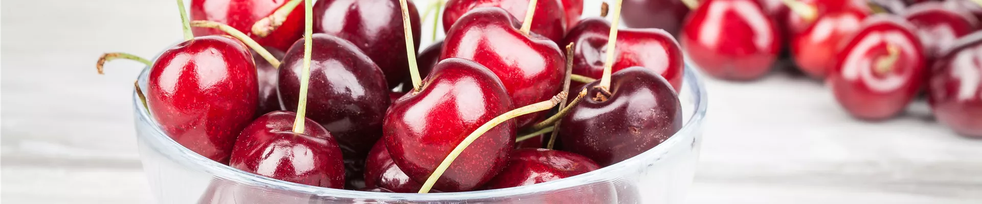 GS528531.jpg GS528531.jpg