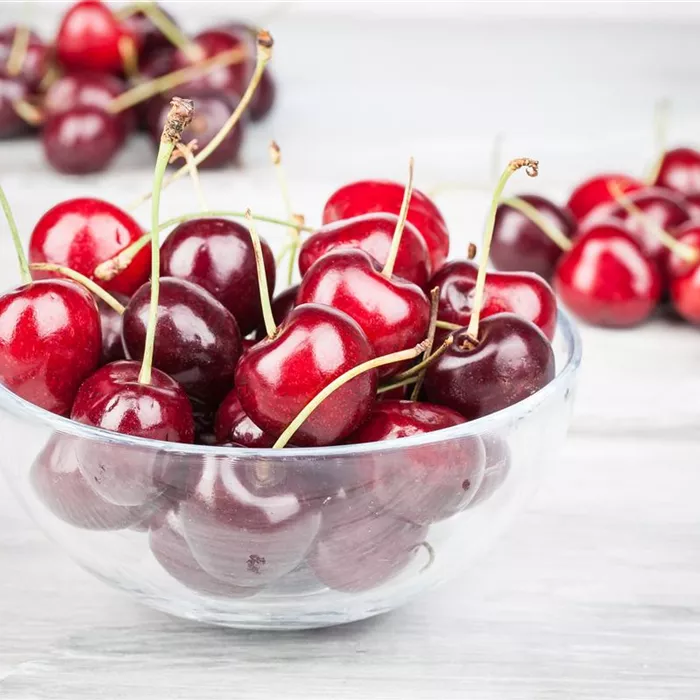 Die Früchte des Gartens gut verarbeiten Die Früchte des Gartens gut verarbeiten