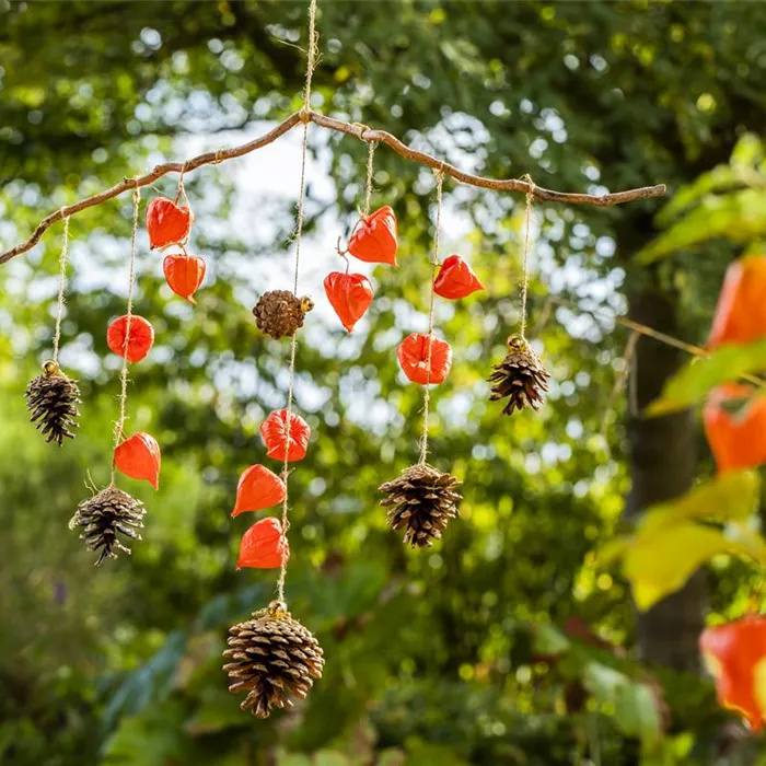 Ein herbstliches Windspiel aus Physalis und Tannenzapfen Ein herbstliches Windspiel aus Physalis und Tannenzapfen