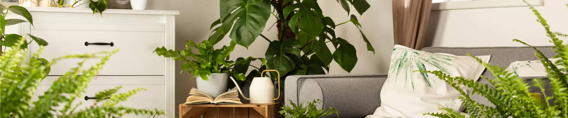 GS610213.jpg GS610213.jpg