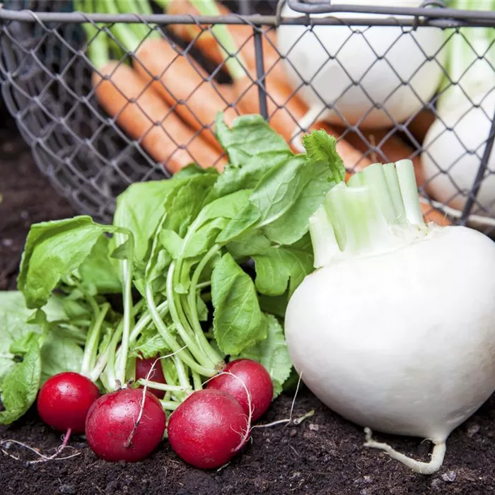 Erntegut haltbar machen Erntegut haltbar machen