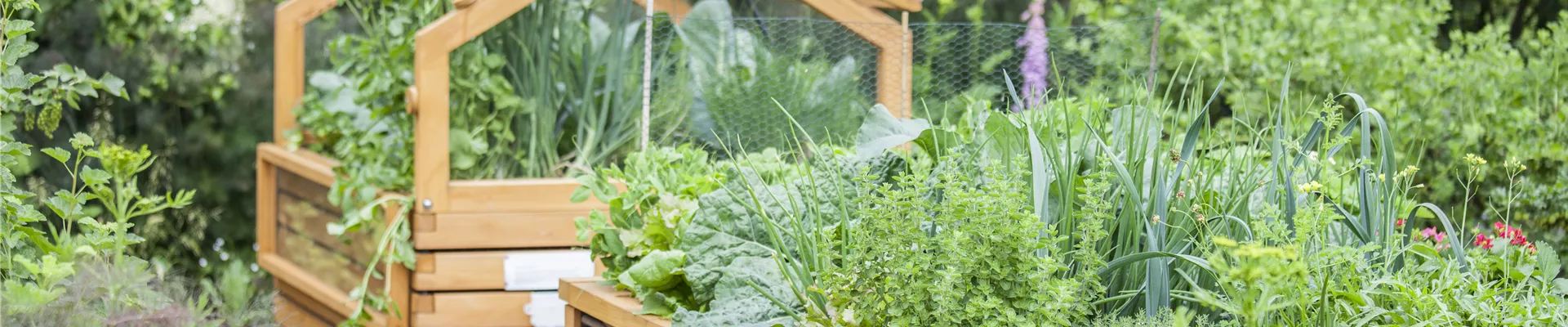 GS497860.jpg GS497860.jpg