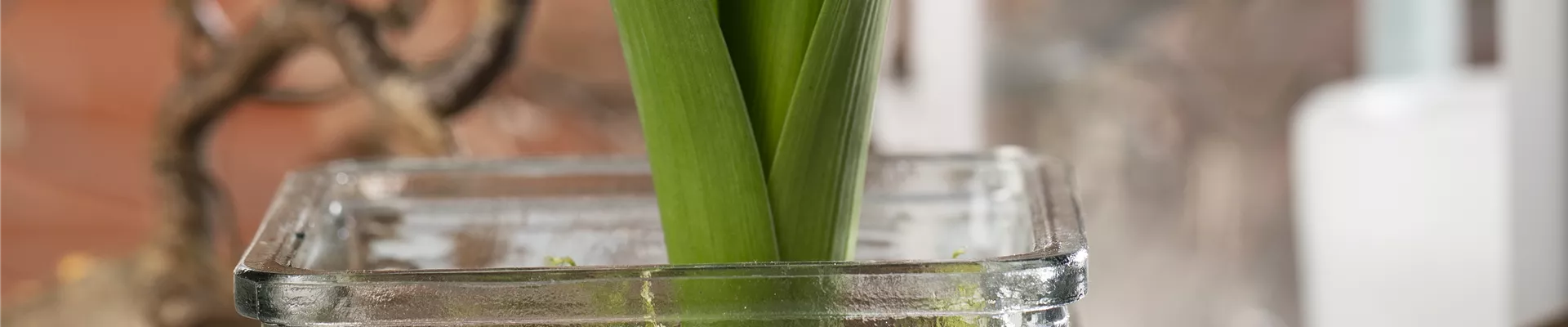 GS603795.jpg GS603795.jpg