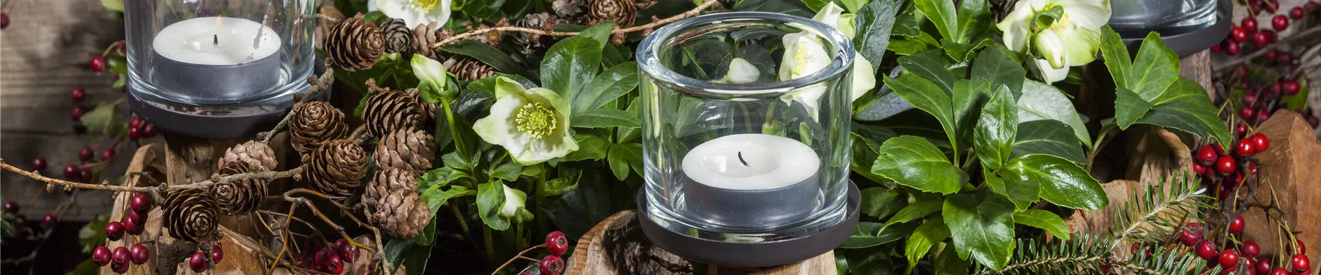 GS504413.jpg GS504413.jpg