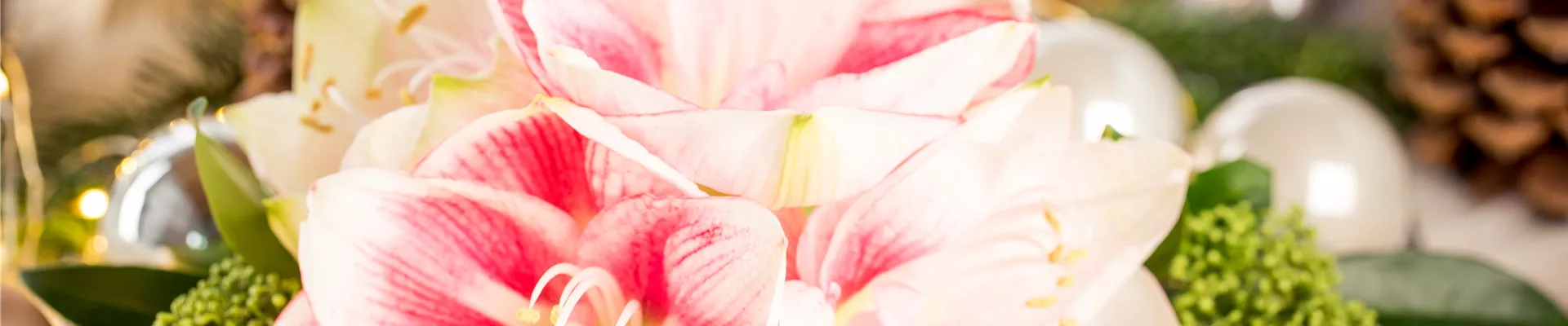 GS524173.jpg GS524173.jpg