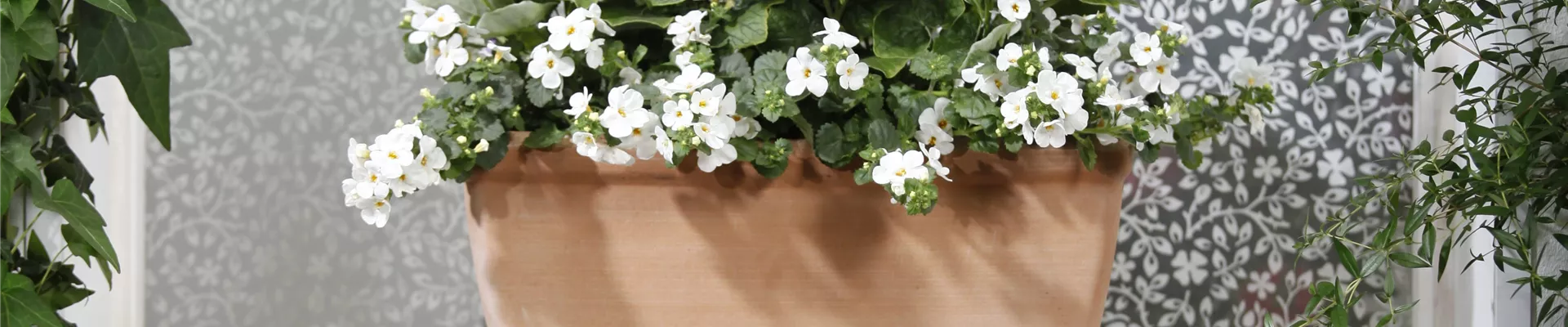 GS477872.jpg GS477872.jpg