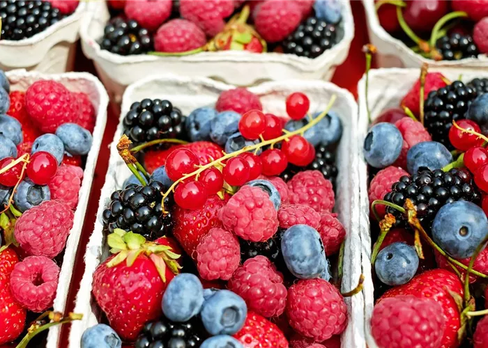 Obstpflanzen Obstpflanzen
