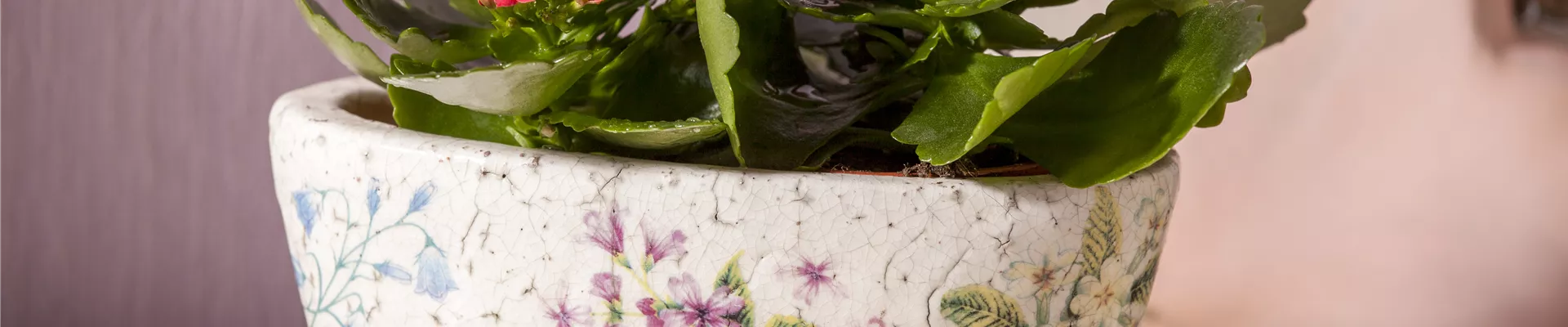 GS471149.jpg GS471149.jpg