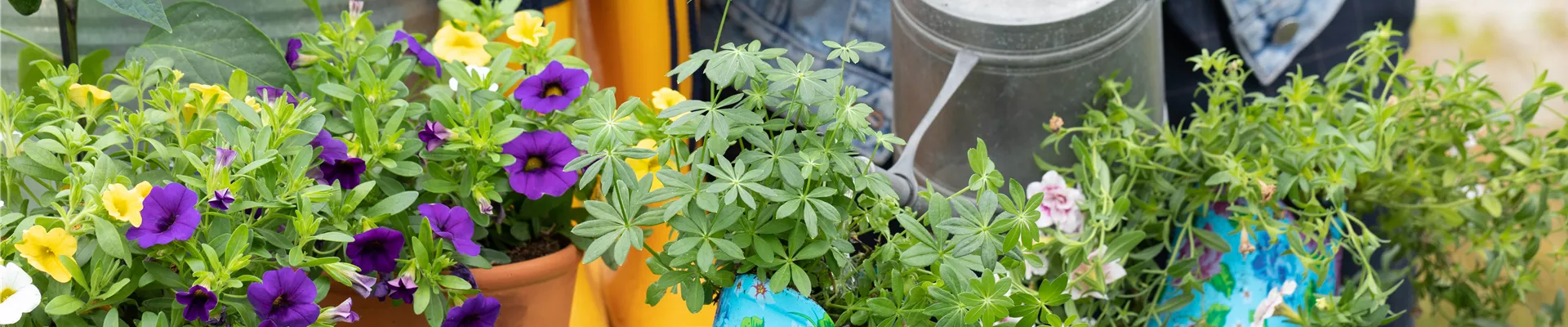 GS623494.jpg GS623494.jpg