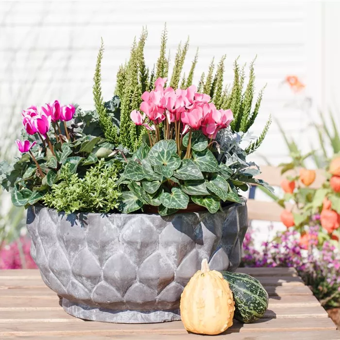 Aus alt mach neu: Blumenkübel nicht wegwerfen! Aus alt mach neu: Blumenkübel nicht wegwerfen!