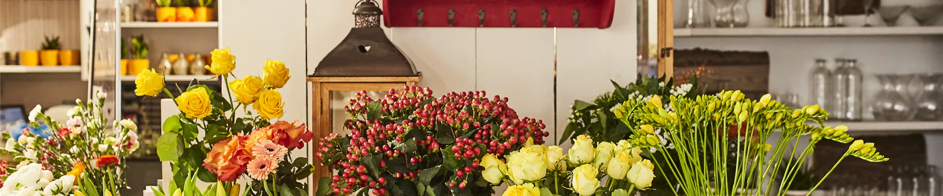 Zanker_001.jpg Zanker_001.jpg