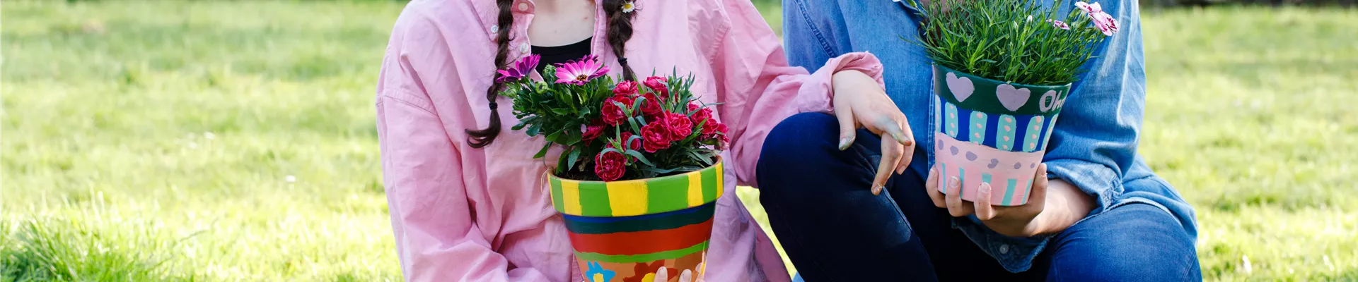 GS534547.jpg GS534547.jpg