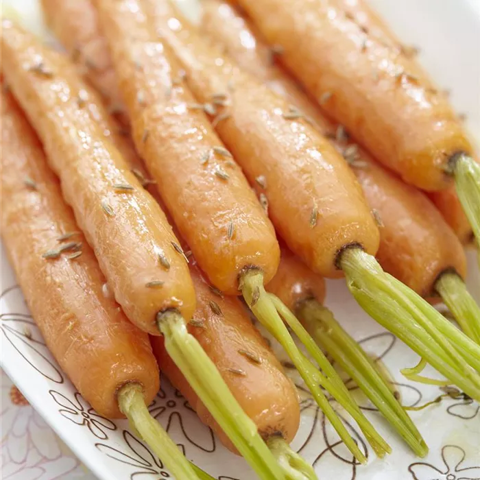 Tipps zur Lagerung von Wurzelgemüse Tipps zur Lagerung von Wurzelgemüse