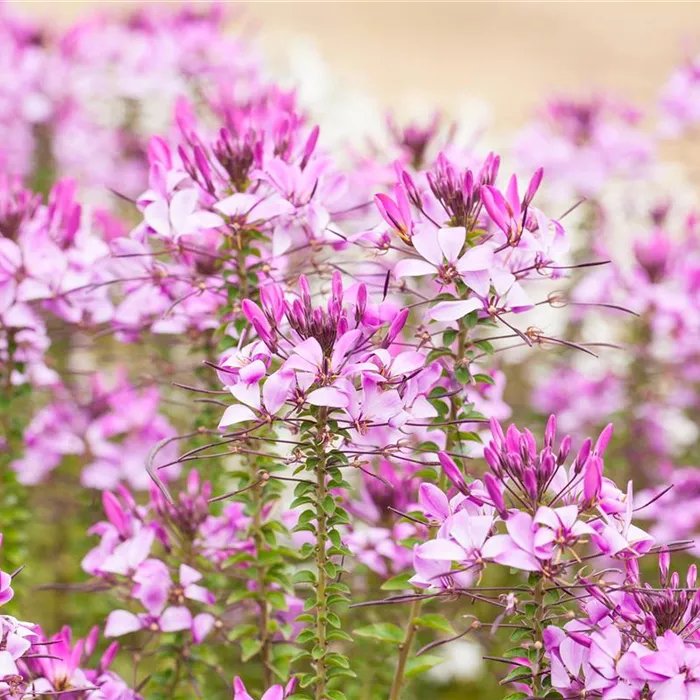 Upcycling mit Milchtüten – aus alt mach neu! Upcycling mit Milchtüten – aus alt mach neu!