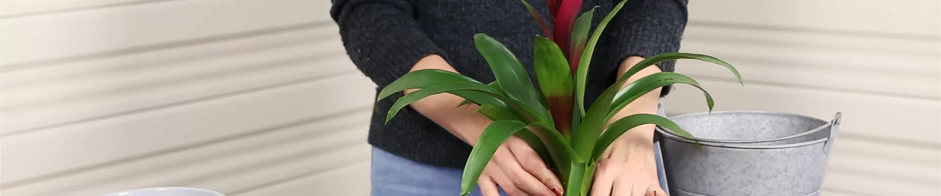 Videos - Unterstützung für Pflanzung & Pflege