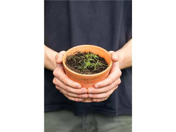 Gärtner/in im Einzelhandel (m/w/d) in unserem Gartencenter: Standort Buchendorf 