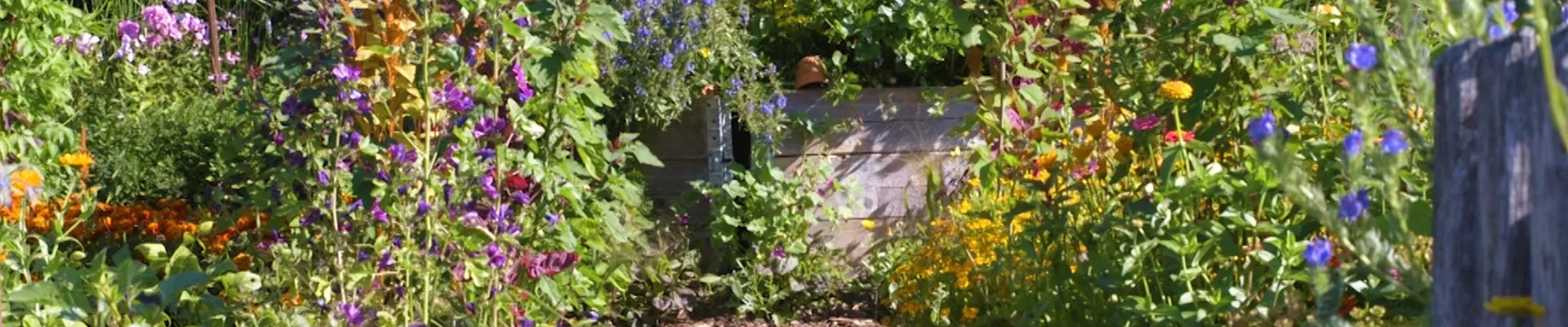 Gartengestaltung - Bauerngarten (Thumbnail).jpg Gartengestaltung - Bauerngarten (Thumbnail).jpg