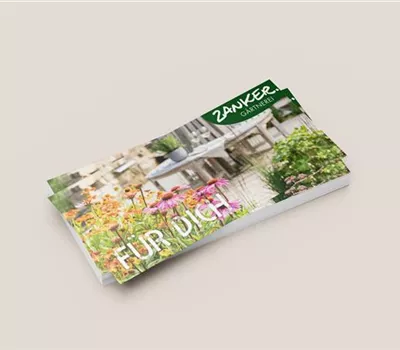 Ihr Gutschein zum Ausdrucken Ihr Gutschein zum Ausdrucken