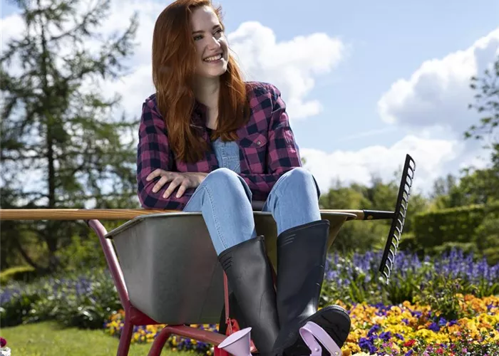 Gartenzubehör und Werkzeug Gartenzubehör und Werkzeug