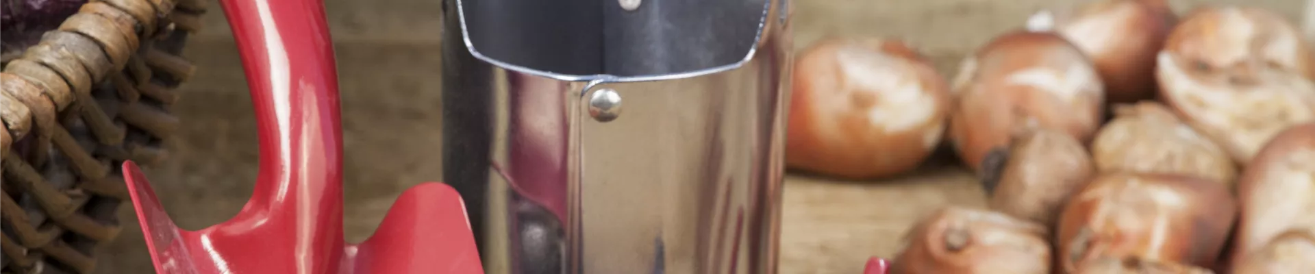 GS504652.jpg GS504652.jpg