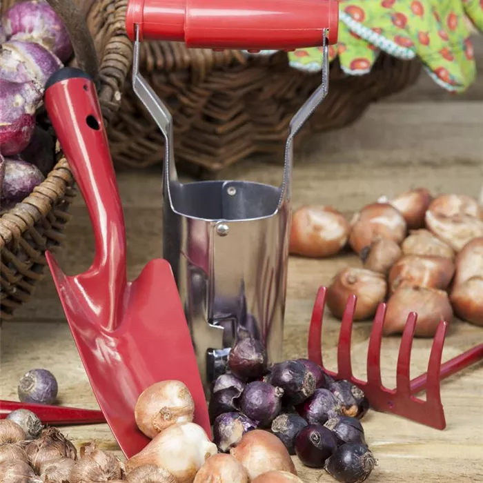 Ordnung im Garten Ordnung im Garten