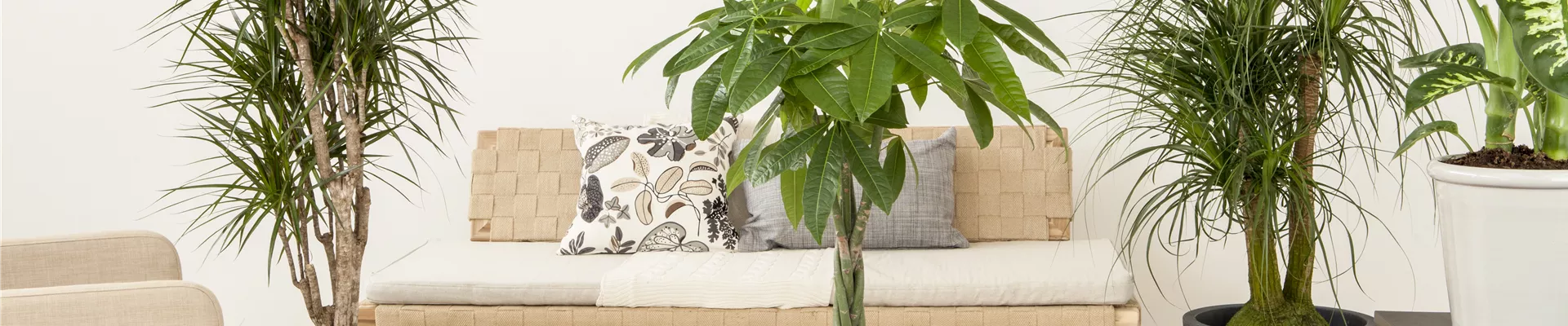 GS518171.jpg GS518171.jpg