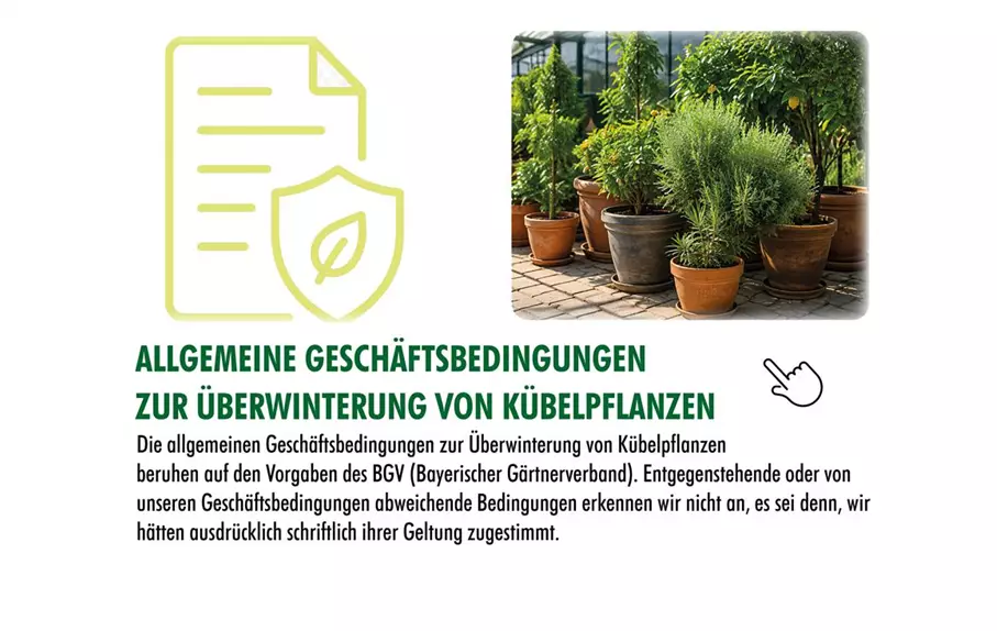 26_Überwinterung_AGB.jpg 26_Überwinterung_AGB.jpg