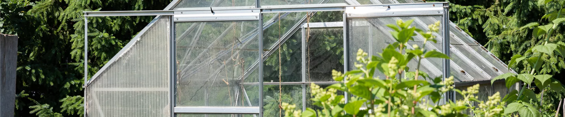 GS667960.jpg GS667960.jpg