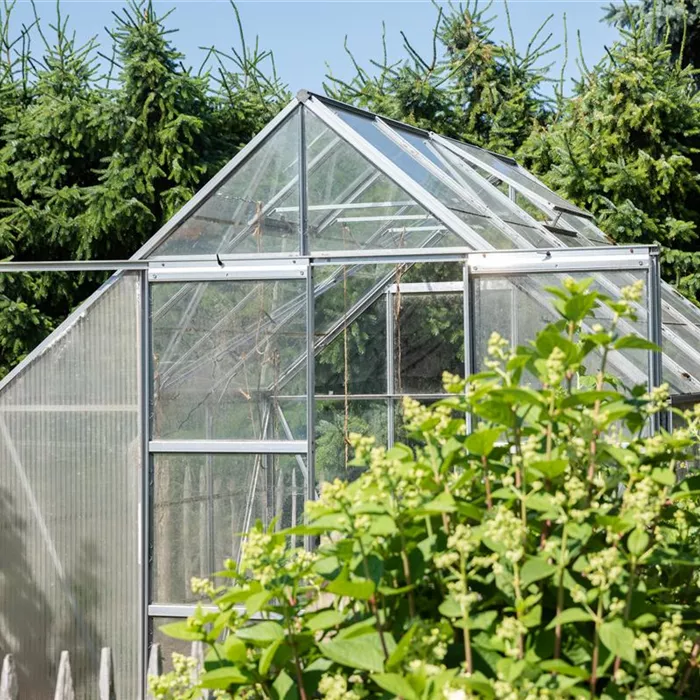 Ein Gewächshaus anlegen Ein Gewächshaus anlegen