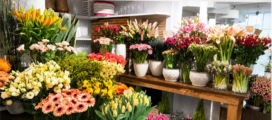 Blumenladen_innen.jpg