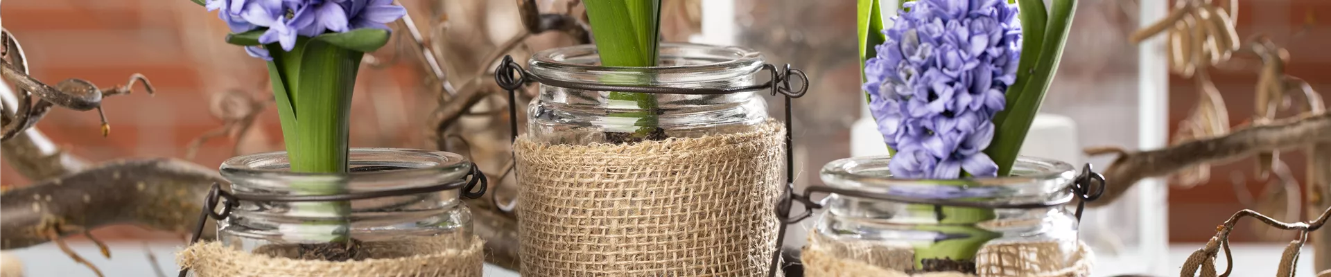 GS603796.jpg GS603796.jpg