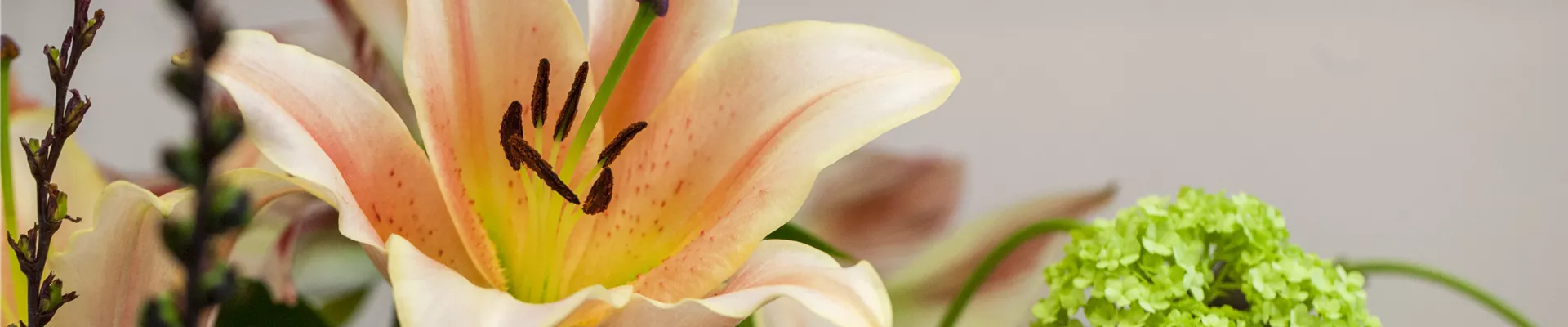 GS515443.jpg GS515443.jpg