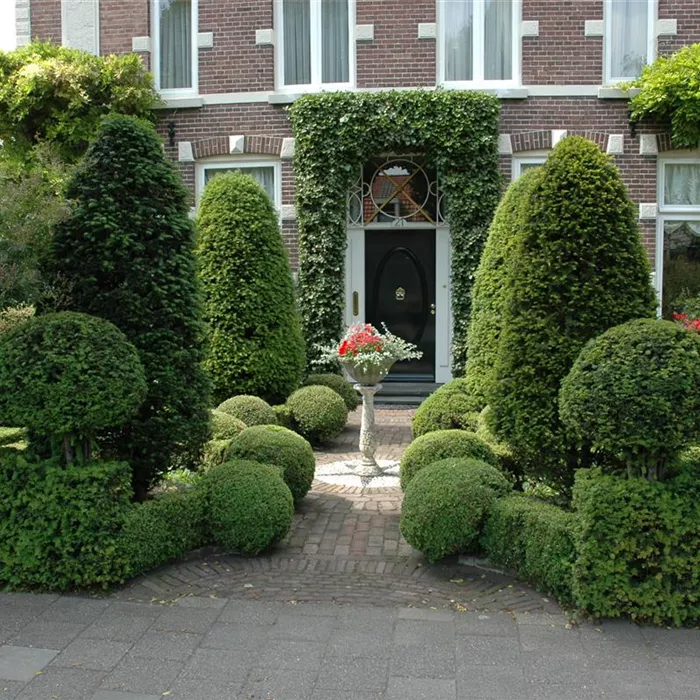 Top in Form – Büsche regelmäßig schneiden Top in Form – Büsche regelmäßig schneiden