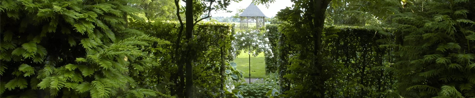 GS619959.jpg GS619959.jpg