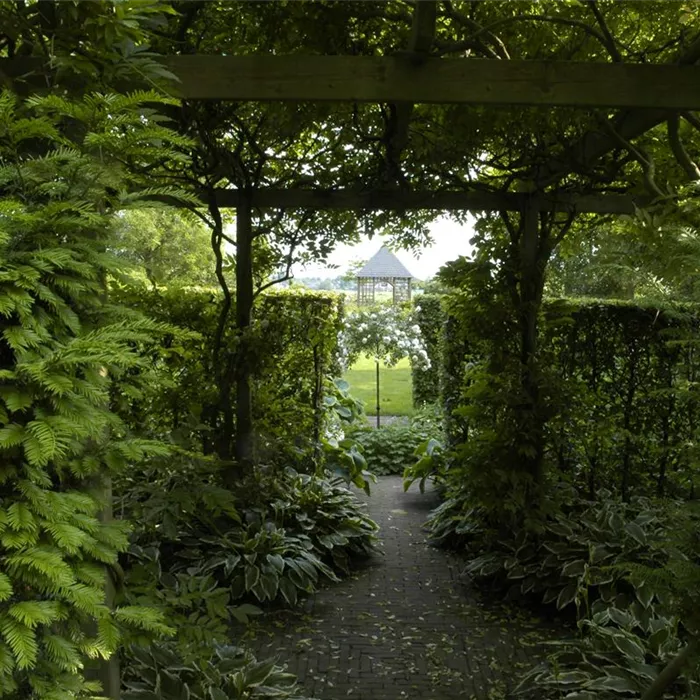 Garten easy going – so wird der Garten pflegeleicht Garten easy going – so wird der Garten pflegeleicht