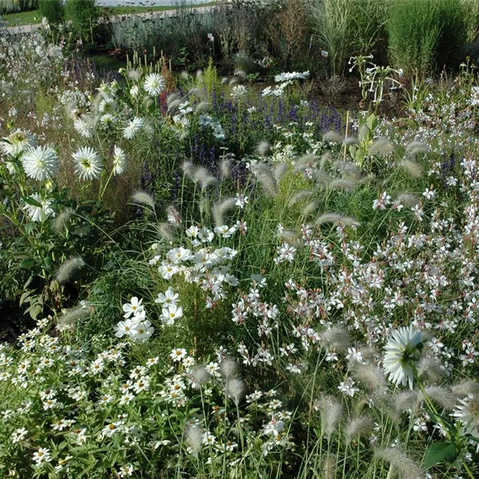 Ganz in Weiß – elegante Gartengestaltung mit Stil Ganz in Weiß – elegante Gartengestaltung mit Stil