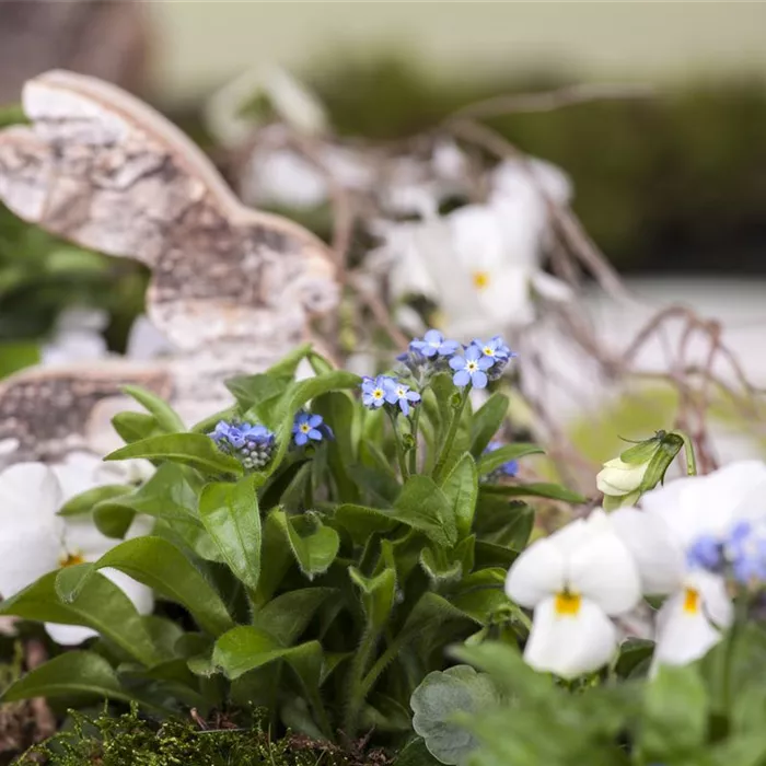 Ostern vor der Haustür Ostern vor der Haustür