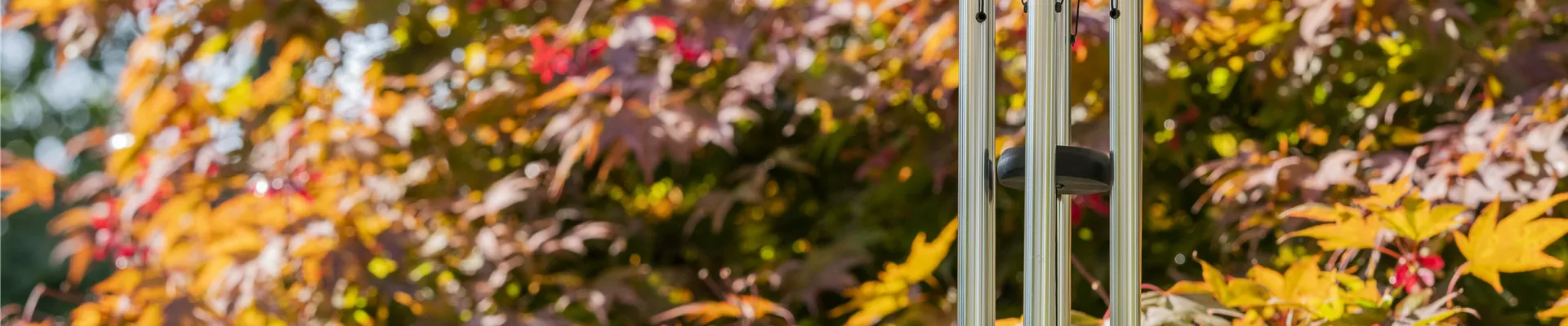 GS599694.jpg GS599694.jpg