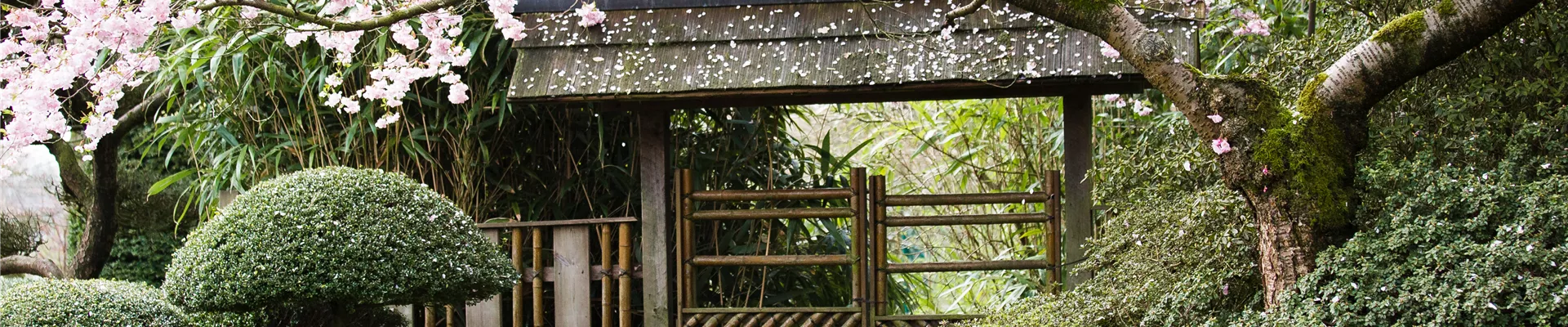 GS531840.jpg GS531840.jpg