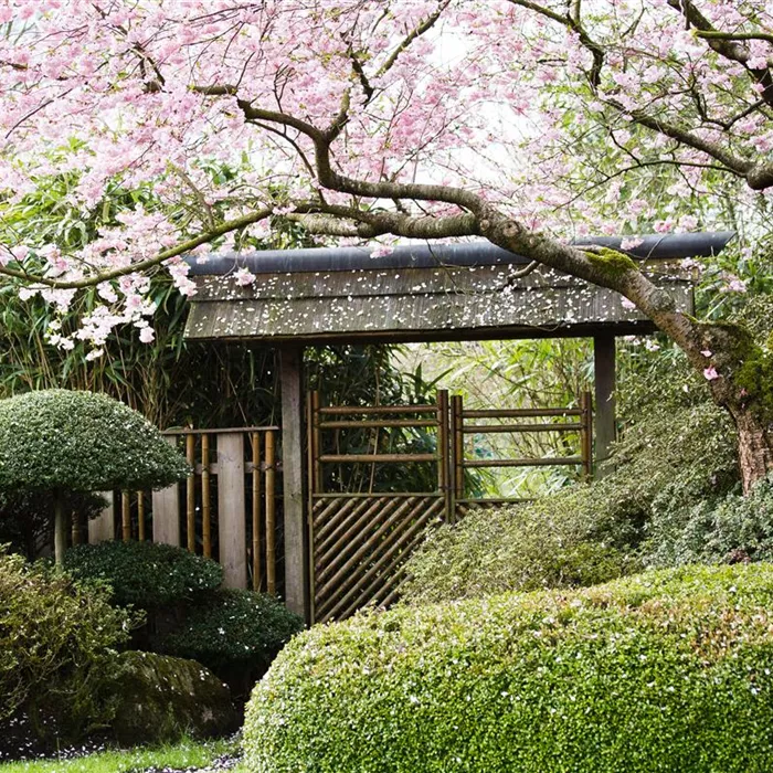 Ruhe und Erholung im japanischen Garten Ruhe und Erholung im japanischen Garten