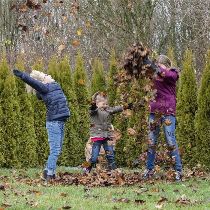 Spiel, Spaß und Sport: Der Garten als grünes Fitness-Studio Spiel, Spaß und Sport: Der Garten als grünes Fitness-Studio