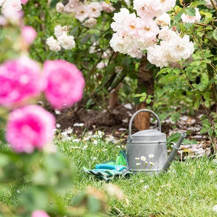 Bewässerungsanlagen im Garten – entspannt sitzen statt schwitzen