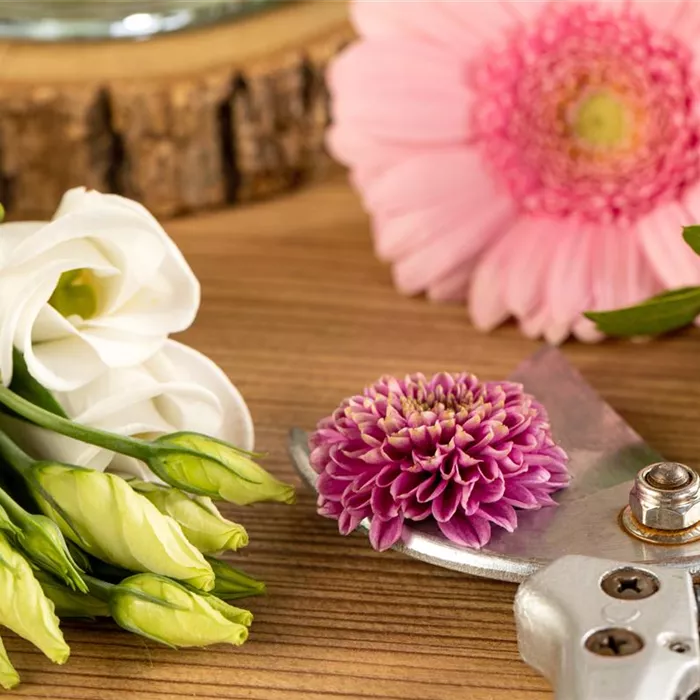 Schnittblumen - was hilft wirklich?