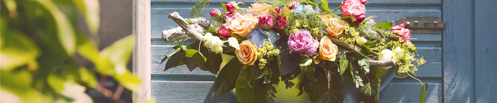 GS495834.jpg GS495834.jpg