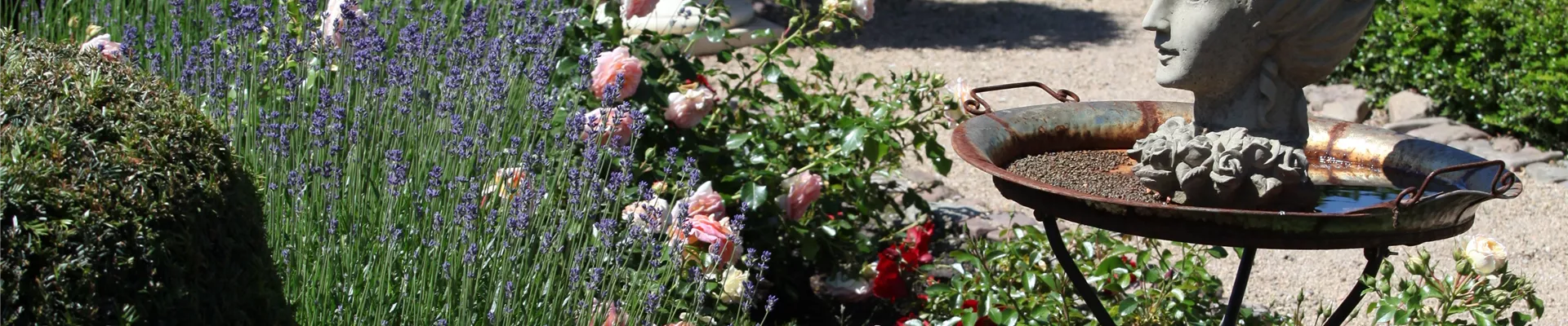 GS444911.jpg GS444911.jpg